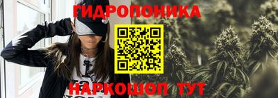 не бодяженный Камышлов