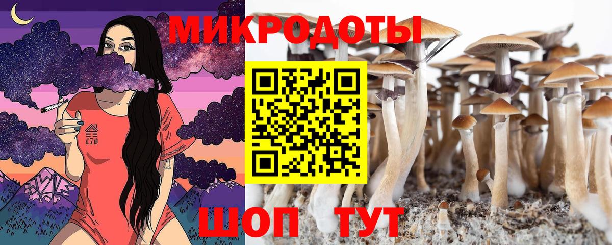 Псилоцибиновые грибы Psilocybe  Вход с VPN  купить наркотики цена  Зима 