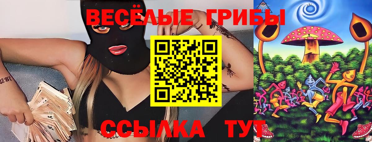 Галлюциногенные грибы Psilocybe Зима